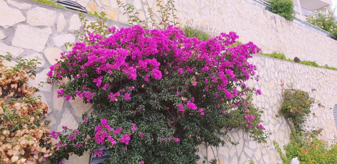 דירות קאפ ד'איי La Terrazza Di Monaco מראה חיצוני תמונה